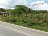 WHITEHOUSE MAIN ROAD LOT ID 1778 HCA789, Westmoreland, Jamaica - Commercial/farm land for Sale